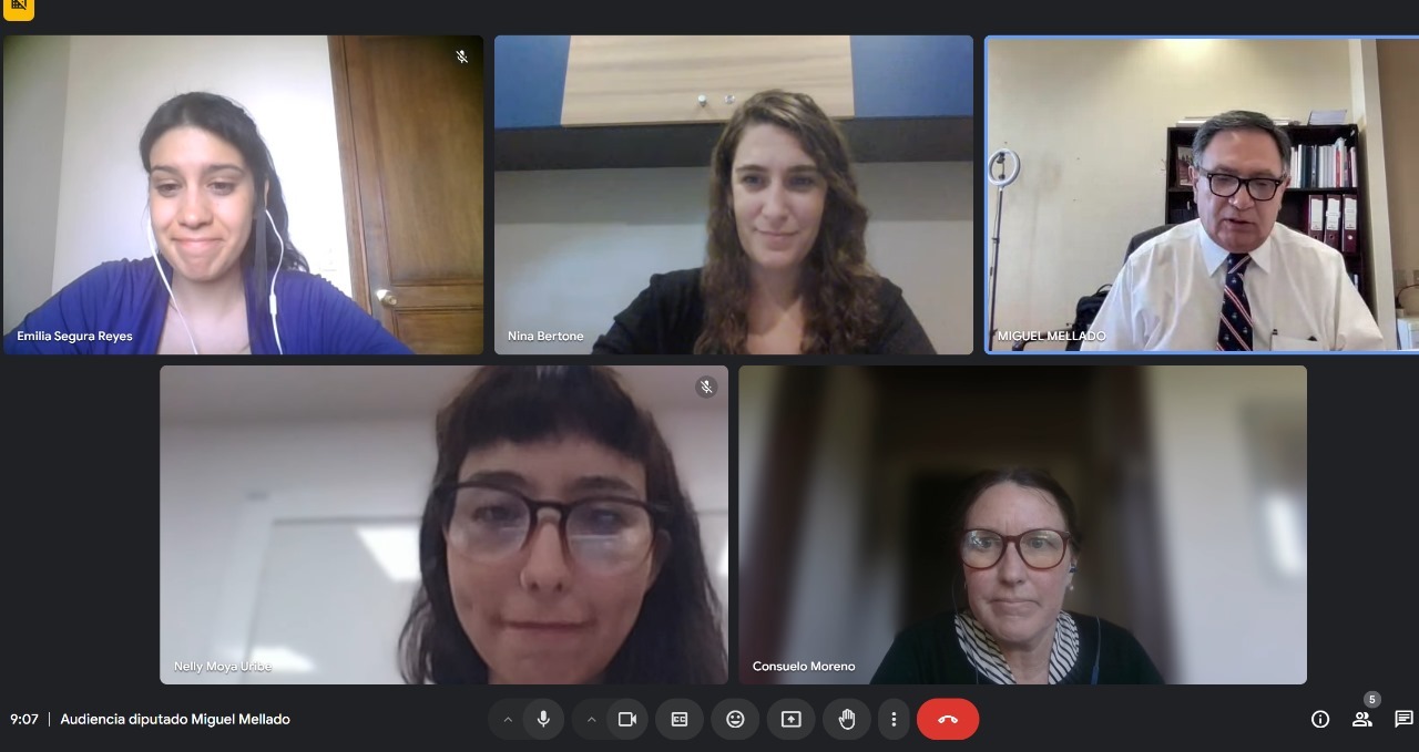 Captura de una audiencia virtual de integrantes de la mesa de personas mayores de la COS con Diputado Miguel Mellado para reactivar aprobación de Ley de personas mayores